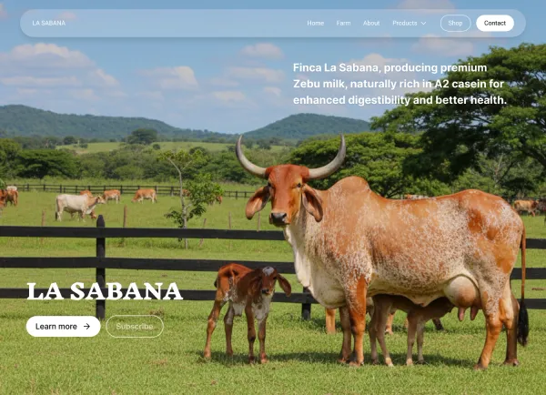La Siembra Festival