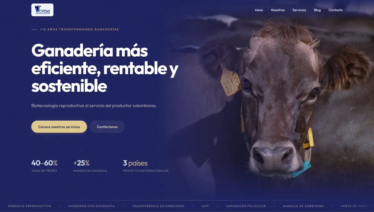 Vetresa portfolio project