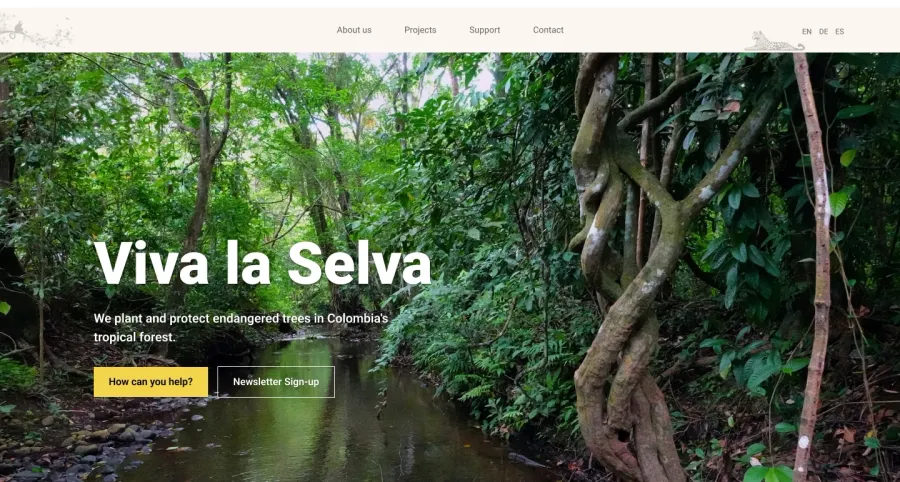 Viva la Selva portfolio project